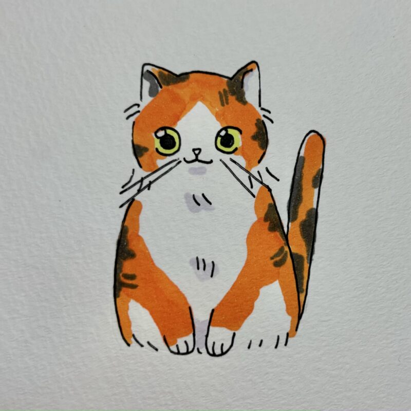 【初心者向け】ゆるくて可愛い猫イラストの描き方｜愛猫を描こう