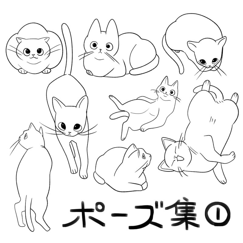 猫のポーズ２４種まとめ①